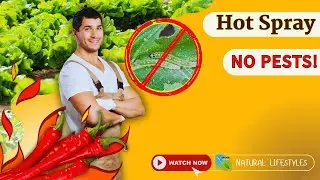 DIY Hot Pepper Spray for Pests 🌶️🌱 | Natural, Safe & Powerful!