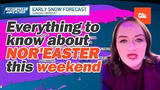 Everything to know about nor'easter this weekend. #fyp