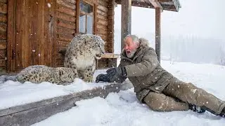 A Snow Leopard Begged Him to Rescue Her Cub - What Happened Next Shocked Everyone