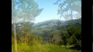 FONDERS. Saltimbanki