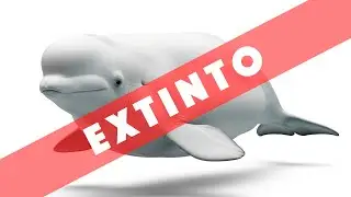 Por que seria MACABRO se a BELUGA fosse EXTINTA?
