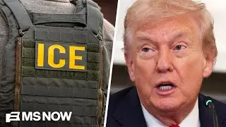 Journalist describes 'odd' experience applying to ICE and getting 'final job offer'
