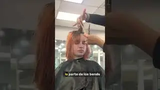 Conecta las capas delanteras y traseras