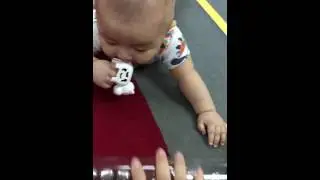 Teddy 65