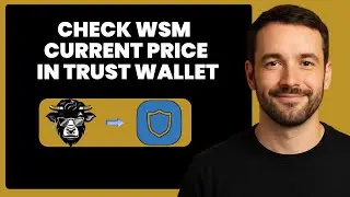 WSM Stock Alert! Discover the Real-Time Price & Latest Moves