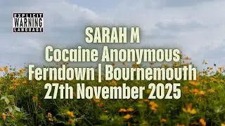 Cocaine Anonymous - 12 Step recovery share - Sarah M