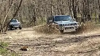 Прогулки на ХАММЕРАХ  !!! #адыгея #хаммер #горы #travel #adventure #hummer