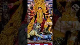 Her Eyes 🥹 #trending #sorts #viral #durgapuja2025 #maadurga #durgapuja #reels #goddess #navratri