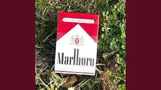 shawn, can i have a cigarette?