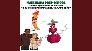 Internet Sensation