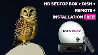Free HD Set-Top Box, Remote & Installation&mdash;Only with Tata Play | Grab Your Dhamaka Offer Now!