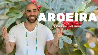 ERVAS NA UMBANDA - Aroeira
