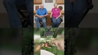 Dr. Pol Reacts - Unlikely Animal BFFs! 🦌🐕🐇 Friendship Goals! #drpol #heartwarmingpets