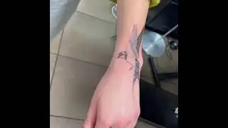 Swallow Tattoo