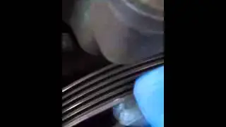 BMW E39 530d PAS pump faulty?