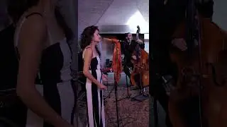 Froggy Blues Cie ft Slim Paul &ndash; It&rsquo;s nobody&rsquo;s fault but mine #livemusic #coversong #blues