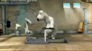 Funny assyrian working out & Falls & gets hurt