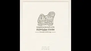 Класс Чемпионы НКП. Сука Matthias Rex Kincsem