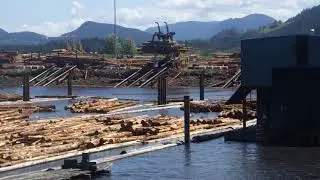 AMAZING TIMBER OPERATION: BIG CLAW EQUIPMENT AND MIGHTY TUGS ASSEMBLING TIMBER RAFTS