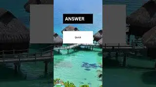 Test Your Synonym Skills With This Fun Quiz!