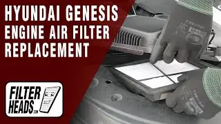 How to Replace Engine Air Filter 2014 Hyundai Genesis 3.8L V6 | AF4057, TA46056