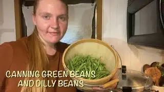 Canning green beans and dilly beans 
