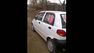 Mita electorala PSD in Daeni, Tulcea