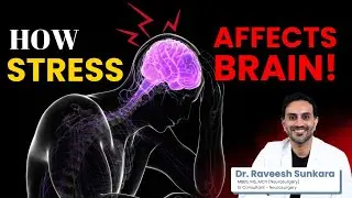 Stress & Brain Health: How Stress Affects Your Mind & Increases Risk of Brain Damage!