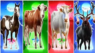 Funny Horse 🆚 Funny Moos 🆚 The Cow 🆚 The Bull Coffin Dance Song 
