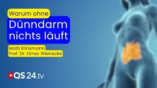 Dein Dünndarm entscheidet mehr, als du denkst! | Prof. Dr. Elmar Wienecke | QS24 Gremium