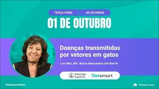 Doenças transmitidas por vetores em gatos