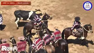 Serie Libre 1era A / 72° Campeonato Nacional de Rodeo