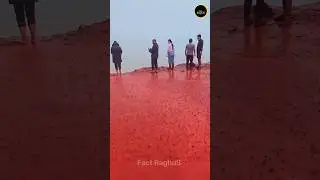 Mysterious Blood Rain in Iran