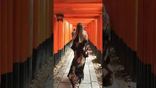 Kyoto 🇯🇵 Fushimi Inari Shrine ⛩️ 