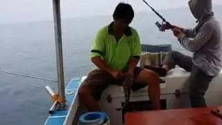 Digia chan fishing 16 09 2015