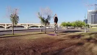 Phoenix Yoga