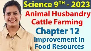 Animal Husbandry, Cattle Farming, Chapter 12 - Improvement In Food Resources - Science Class 9 NCERT