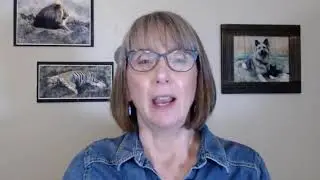 Introduction to Animals and Society