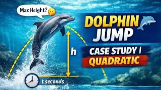 Dolphin Jump Case Study | Quadratic Equations | Class 10 Maths