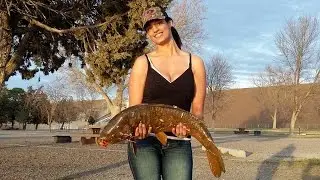 Giant 25 pound Mirror Carp and 3 Rainbow Trout!!