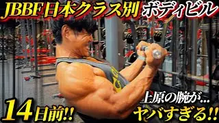 【筋トレ】ボディビル全国大会に挑む上原の腕トレ(二頭)