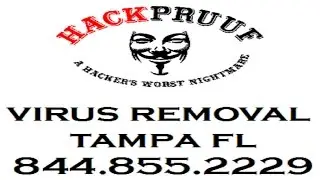 Virus Removal Tampa FL