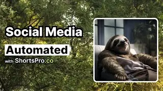 How ShortsPro helps 20,000 creators automate their social media growth 🤟