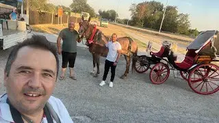 Miran nın sünnet düğünü başladı FOTO CITY SAPES DIGITAL kanalı canlı yayında