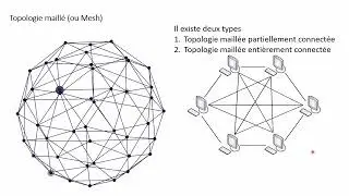 Les Topologies Réseaux (Physiques)