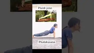 |yoga inspired by animals and birds| part 2 #shortfeed #shorts #ytshorts #viralshorts#trending#yoga