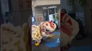 2024 CNY VLOG Lion Dance Toronto EP.2