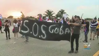 Palmetto Expressway Traffic Was Blocked For Hours Because Of Pro-Cuba Demonstrations