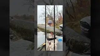 Some Michigan salmon action from October #fishing #michigan