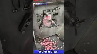 Meat Dicer dicing machine #meatprocess #meatprocessingmachine #meatdicer